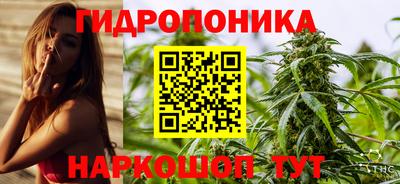 spice Кунгур