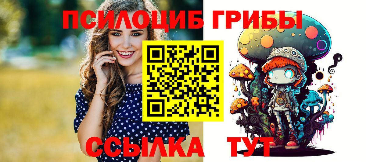 Ступино  Галлюциногенные грибы прущие грибы  Псилоцибиновые грибы Psilocybe  Вход с VPN 